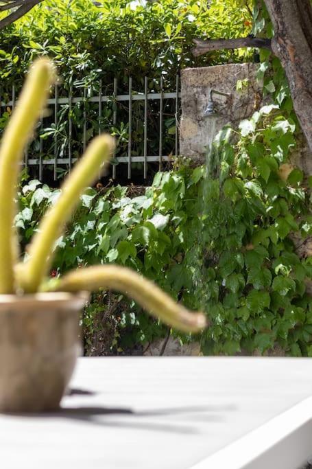 Апартаменты Il Giardino Tra Cielo E Mare Портовенере Экстерьер фото
